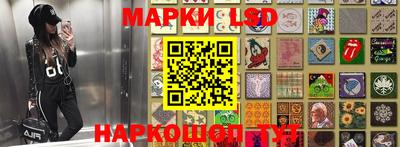 прущие грибы Кимры