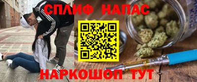 jwh Кингисепп