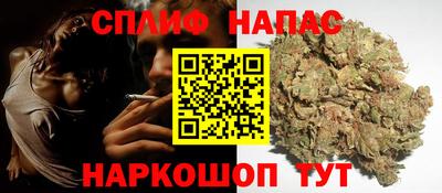 jwh Кингисепп