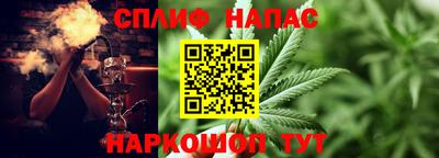 прущие грибы Кимры