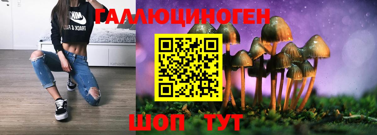 Псилоцибиновые грибы Psilocybe Кушва